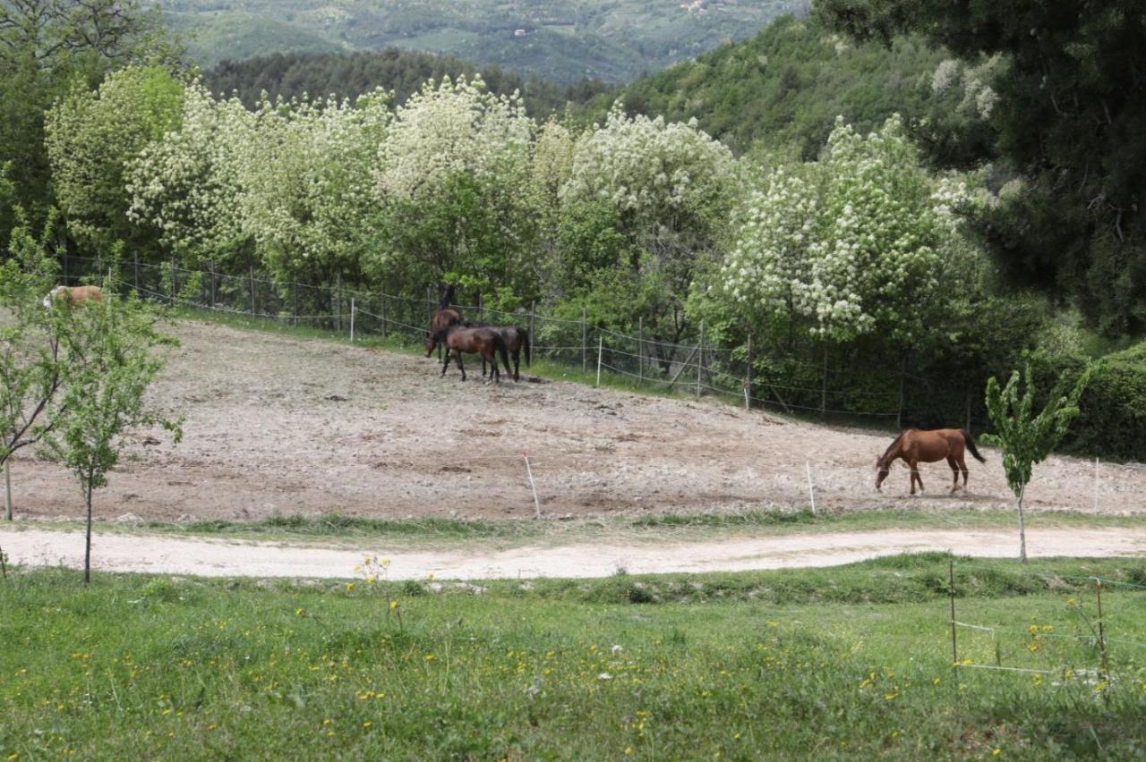 Agriturismo San Martino Foligno Exterior photo